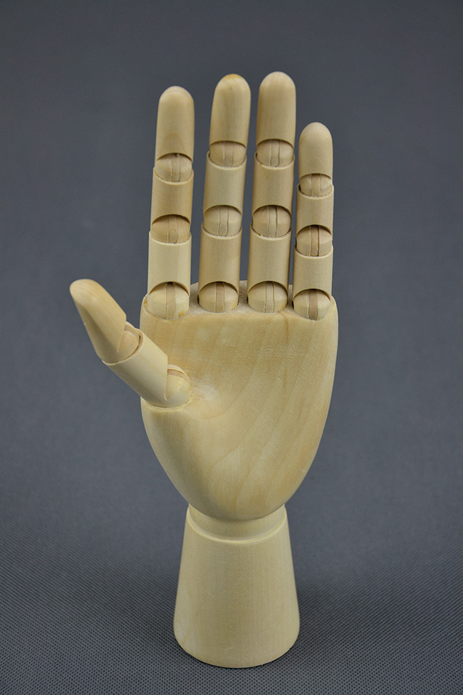 Drevený model ruky menšie ELEMENTRIX