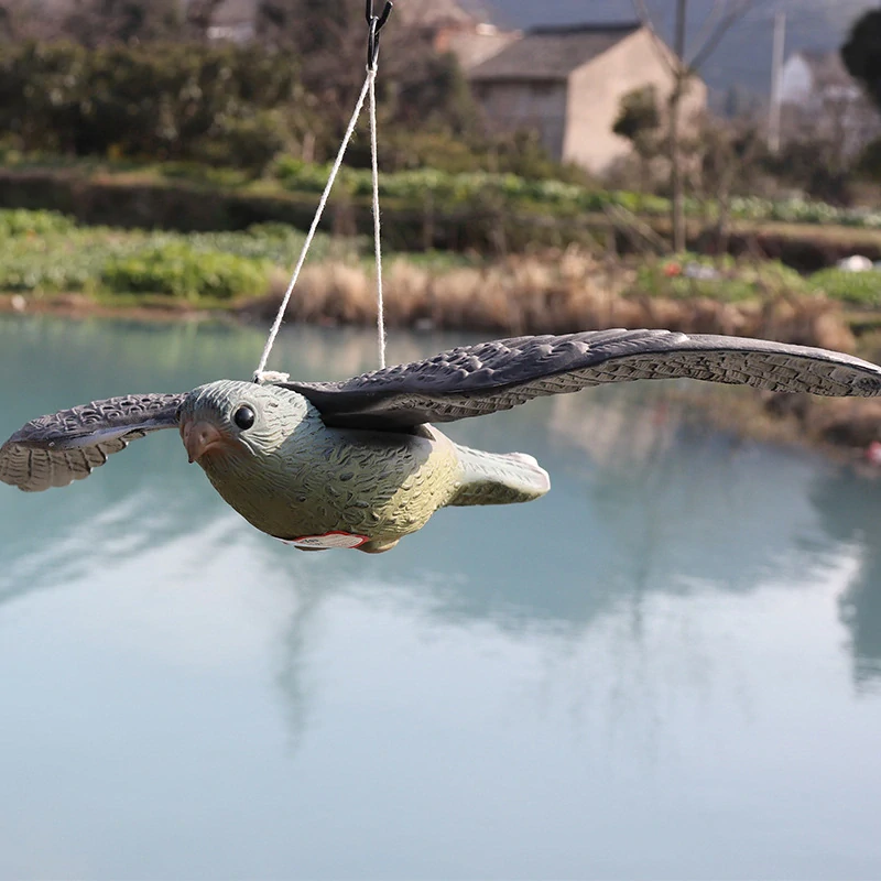 Plašič vtákov dravec v lete 35 x 52 cm