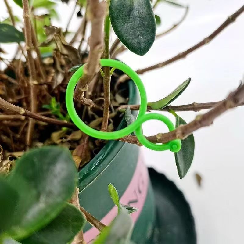 Záhradné flexibilné úchyty v tvare 8 - sada 100 ks