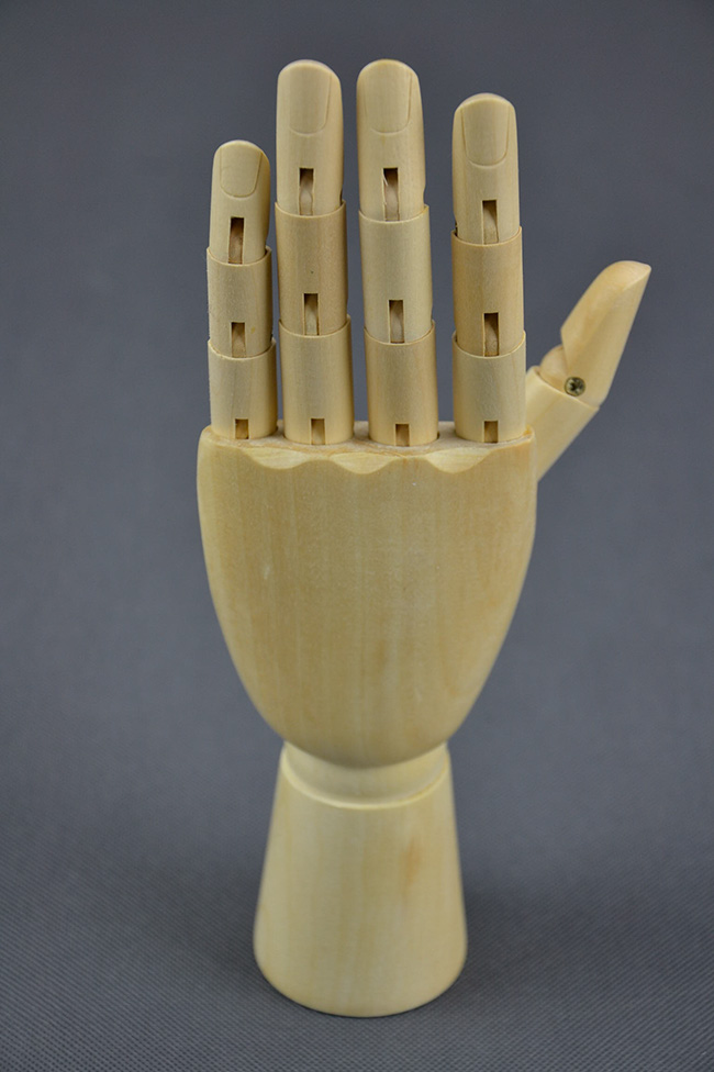 Drevený model ruky menšie ELEMENTRIX