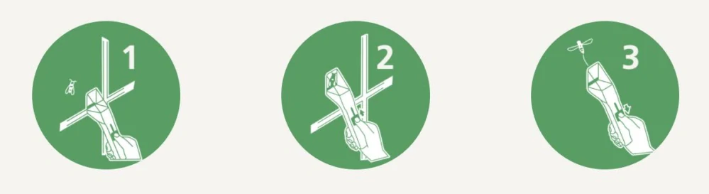 Lapač hmyzu, insect catcher biely