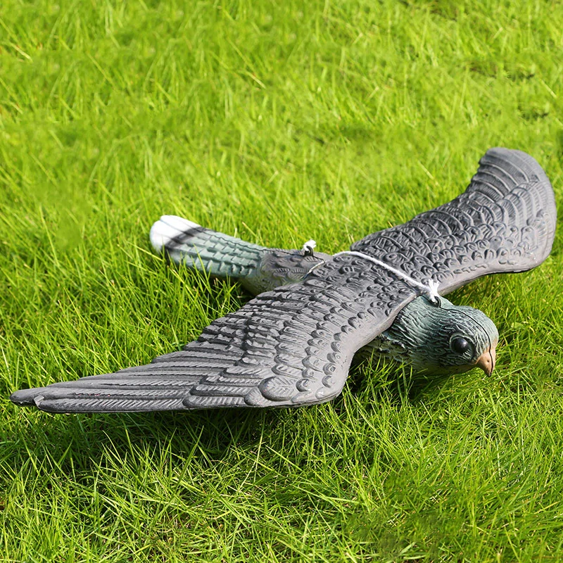 Plašič vtákov dravec v lete 35 x 52 cm