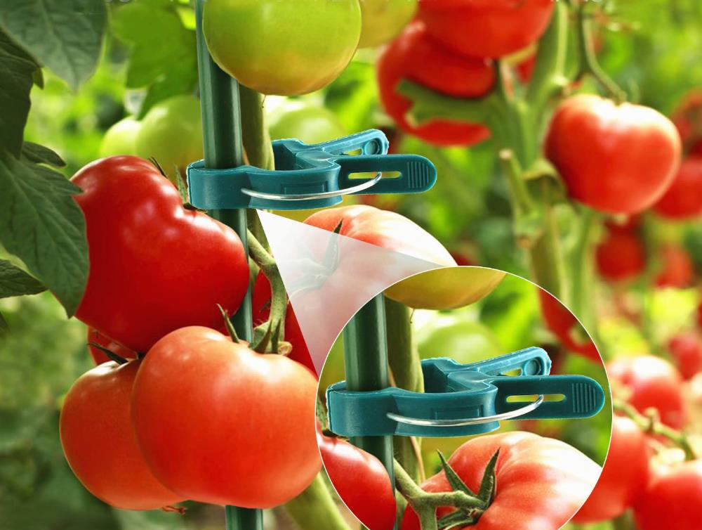 Spona upínacia na rastliny veľká 20ks