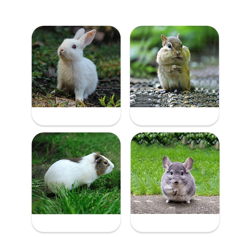 Kŕmne vrece na seno pre hlodavce – 46 × 30 cm (4 otvory)