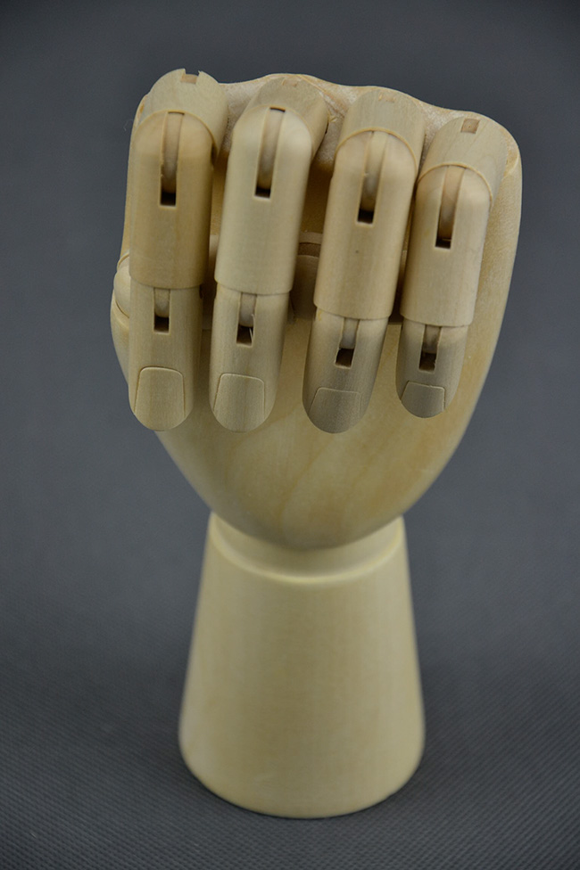 Drevený model ruky menšie ELEMENTRIX