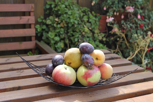 Misky na ovocie 3v1, dekoračné misky 3 kusy ELEMENTRIX