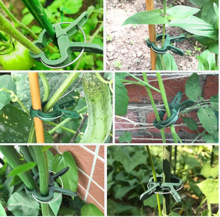 Spona upínacia na rastliny veľká 20ks