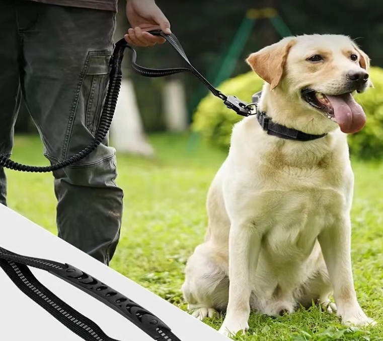 Rýchloupínacia karabína pre vodítko