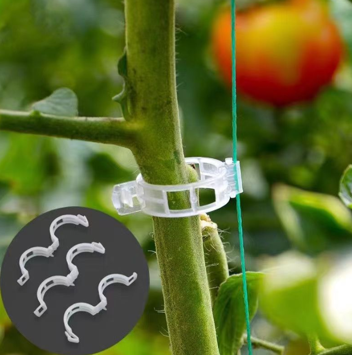 Príchytky pre rastliny, klip na rastliny sada 50 ks