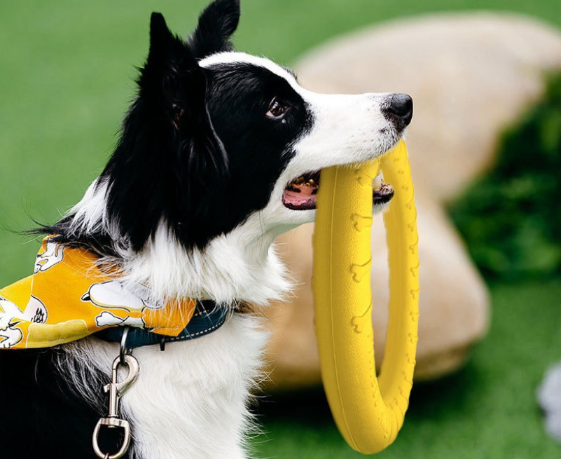 Interaktívna hračka pre psov – aportovací kruh 18 cm (žltý)