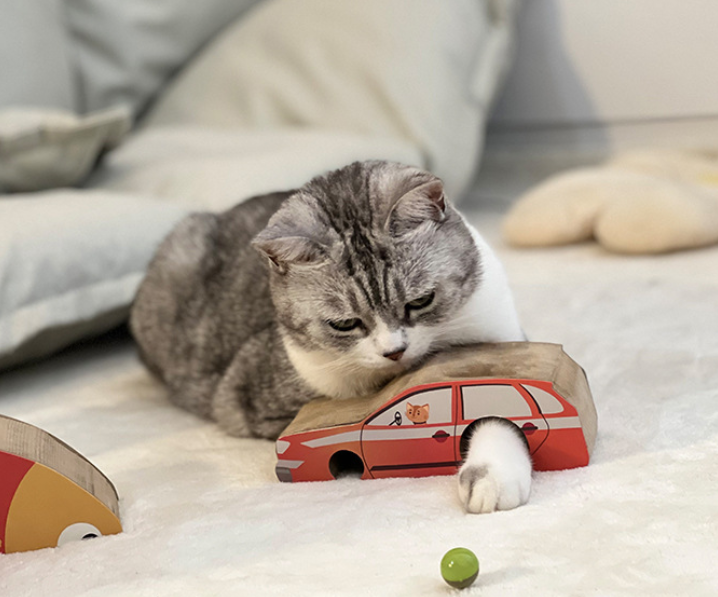Škrabadlo pre mačky, harmonika - auto