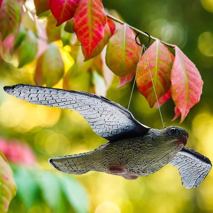 Plašič vtákov dravec v lete 35 x 52 cm