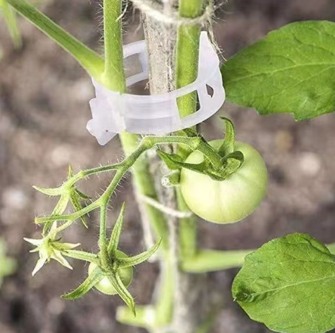 Príchytky pre rastliny, klip na rastliny sada 50 ks