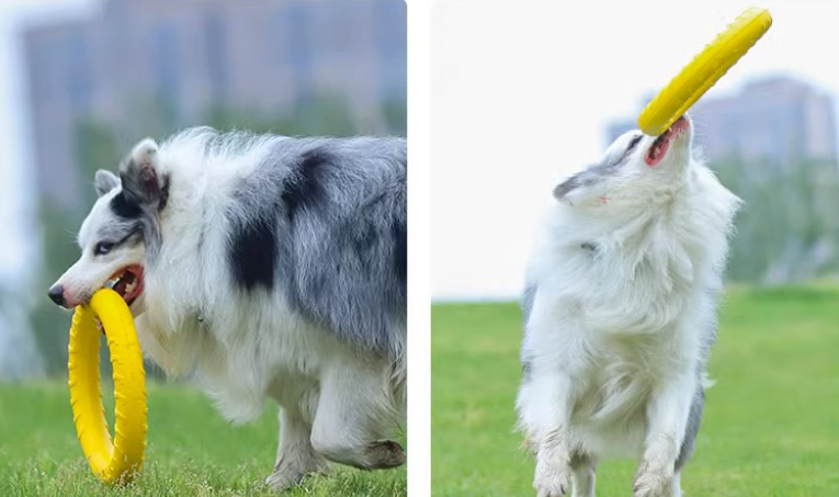 Interaktívna hračka pre psov – aportovací kruh 18 cm (žltý)