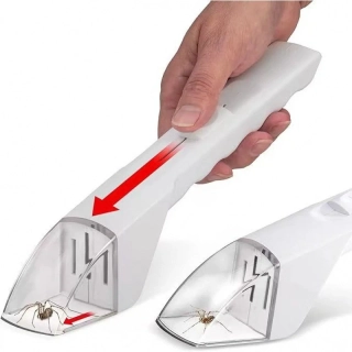 Lapač hmyzu, insect catcher biely