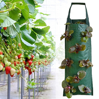Závesný pestovateľský vak na jahody a rastliny – 70 × 25 cm, 8 priehradok