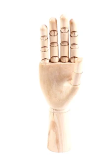 Drevený model ľavej ruky 24 cm ELEMENTRIX