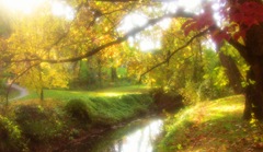 Zmäkčovací difúzny filter 55mm